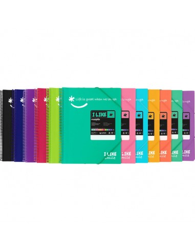 CARPETA 40 FUNDAS MAXIPLAS LIKE2 A4...