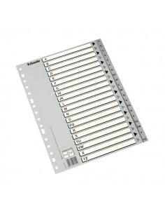 INDICE PLASTICO FOLIO AZ...